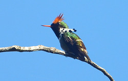 Gey yigitning birinchi jinsiy aloqa videosi Qaynona jinsiy aloqada bolgan uy qurilishi video